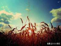 宿迁趣武商贸有限公司