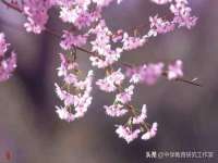 宿迁趣武商贸有限公司