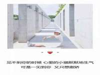宿迁趣武商贸有限公司