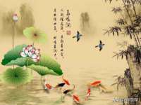 宿迁趣武商贸有限公司