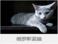 宿迁趣武商贸有限公司