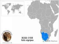 宿迁趣武商贸有限公司
