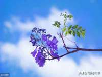 宿迁趣武商贸有限公司