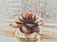 宿迁趣武商贸有限公司