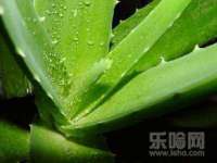 宿迁趣武商贸有限公司