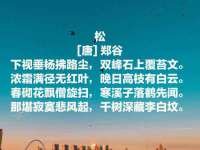 宿迁趣武商贸有限公司