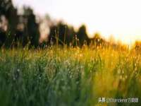 宿迁趣武商贸有限公司