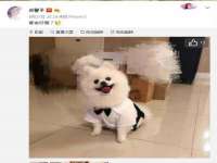 宿迁趣武商贸有限公司