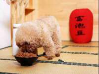 宿迁趣武商贸有限公司