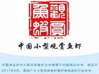 宿迁趣武商贸有限公司