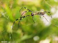宿迁趣武商贸有限公司