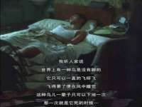 宿迁趣武商贸有限公司
