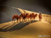 宿迁趣武商贸有限公司