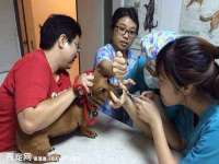 宿迁趣武商贸有限公司