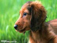 宿迁趣武商贸有限公司