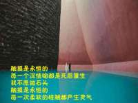 宿迁趣武商贸有限公司