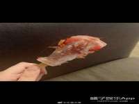 宿迁趣武商贸有限公司